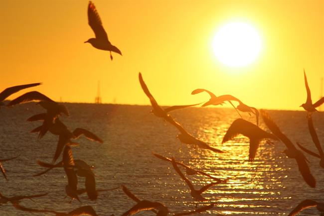 Z dobrimi mislimi se je prebujal dan ... (foto: freeimages.com)
