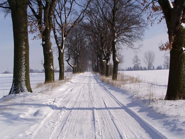 Lepa misel za lepši dan. (foto: freeimages.com)