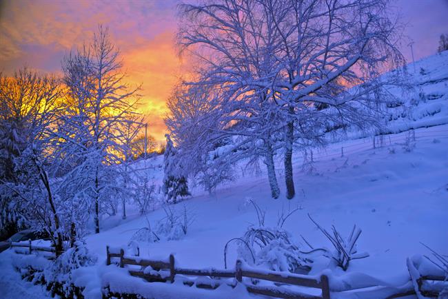 Lepa misel za lepši dan. (foto: pexels.com)