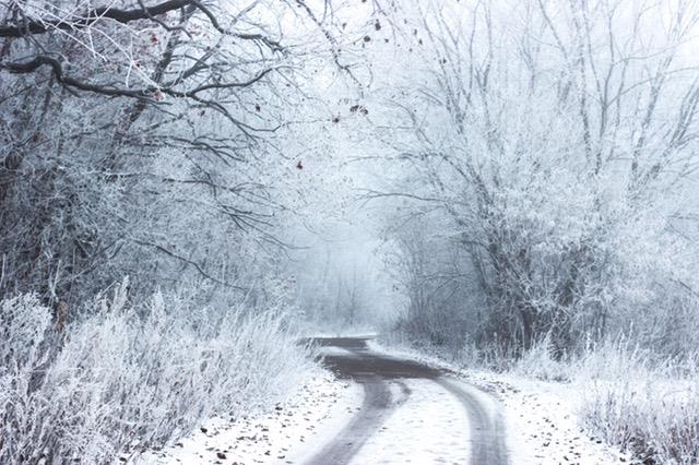 Lepa misel za lepši dan. (foto: pexels.com)