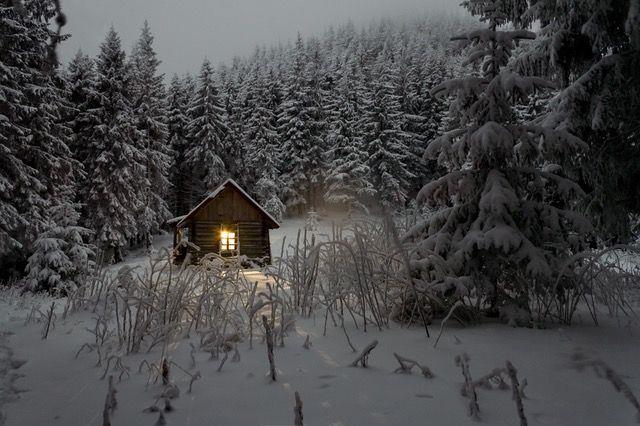 Lepa misel za lepši dan. (foto: pexels.com)