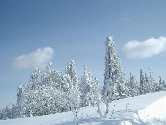 Lepa misel za lepši dan. (foto: freeimages.com)