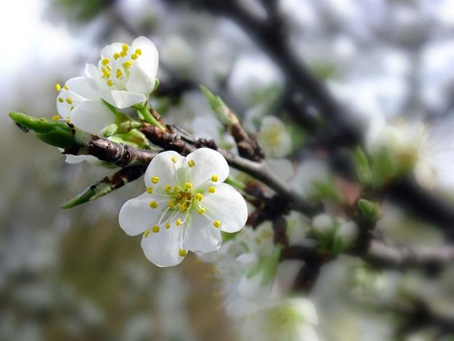 Lepa misel za lepši dan. (foto: freeimages.com)