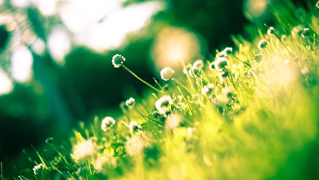 Kaj bo prinesel teden? (foto: pexels.com)