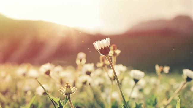 Kaj prinaša nov teden? (foto: pexels.com)
