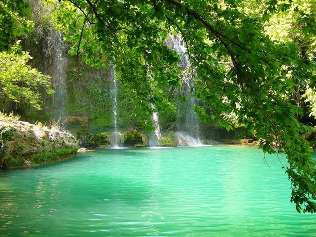 Lepa misel za lepši dan. (foto: freeimages.com)