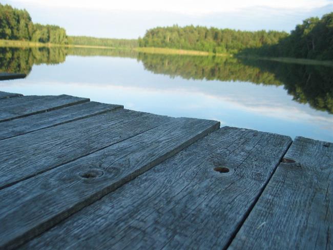 Lepa misel za lepši dan. (foto: freeimages.com)