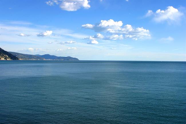 Lepa misel za lepši dan. (foto: freeimages.com)