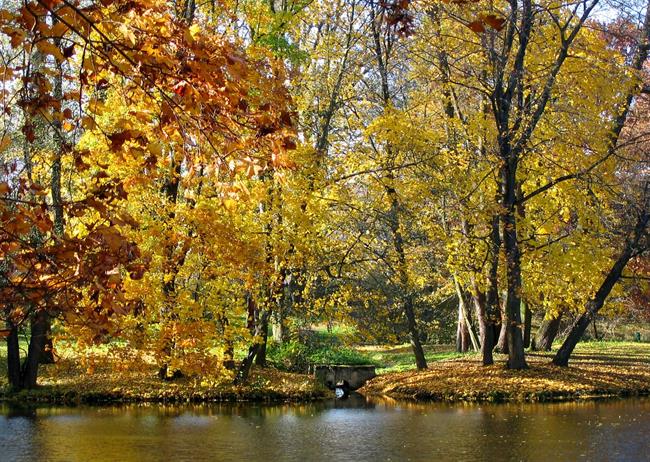 Lepa misel za lepši dan. (foto: freeimages.com)