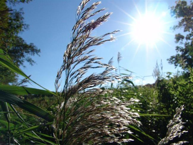 Lepa misel za lepši dan. (foto: freeimages.com)