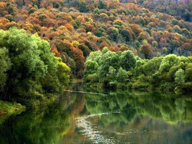 Lepa misel za lepši dan. (foto: freeimages.com)