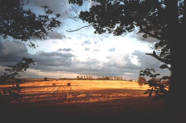 Lepa misel za lepši dan. (foto: freeimages.com)