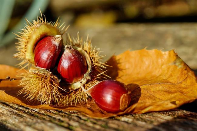 Z nekaj preprostimi triki bo kostanj še bolj okusen. (foto: pexels.com)