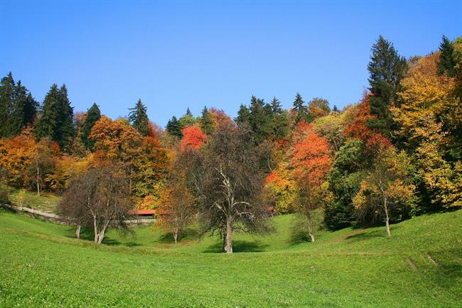 Lepa misel za lepši dan. (foto: freeimages.com)