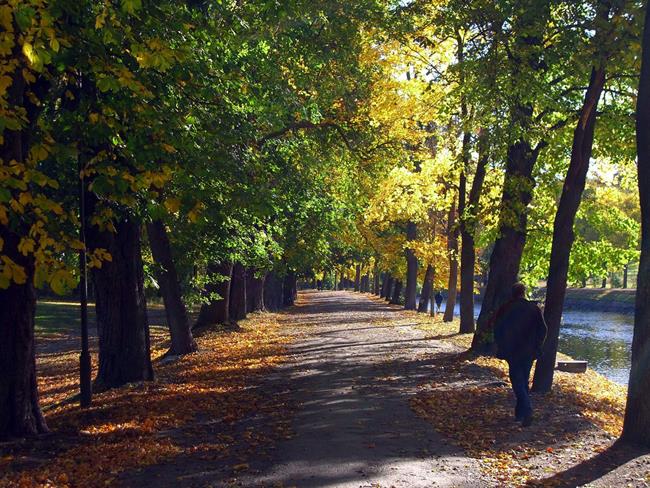 Lepa misel za lepši dan. (foto: freeimages.com)