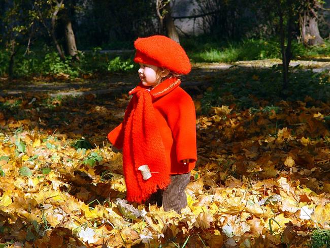 Lepa misel za lepši dan. (foto: freeimages.com)