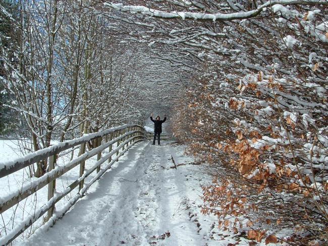 Lepa misel za lepši dan. (foto: freeimages.com)