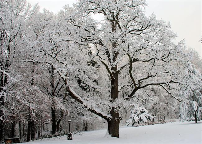 Lepa misel za lepši dan. (foto: freeimages.com)