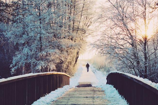 Kaj lepega prinaša nov teden? (foto: pexels.com)