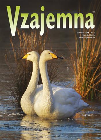 Ne spreglejte nove Vzajemne (foto: Vzajemna)