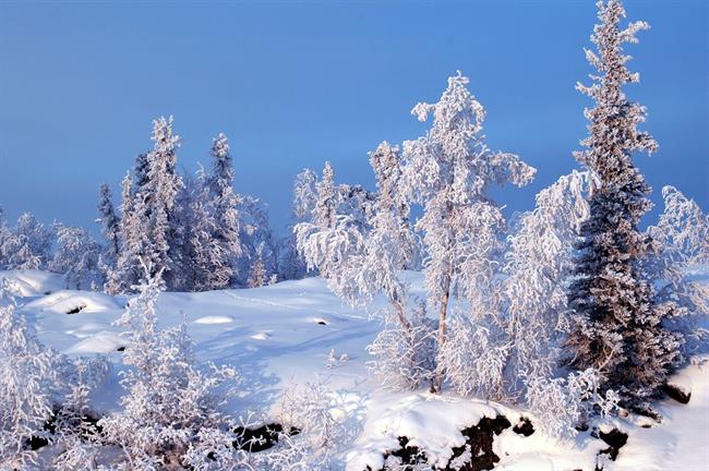 Lepa misel za lepši dan. (foto: freeimages.com)