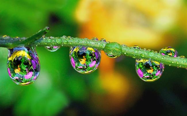 Vidite lepote narave? (foto: Irma Dolinar)