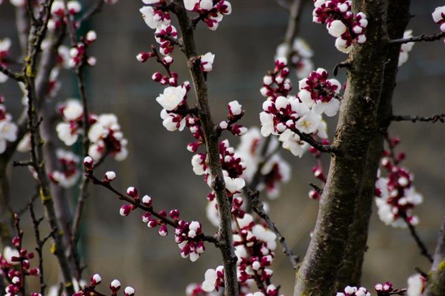 Kaj bo prinesel teden? (foto: pexels.com)