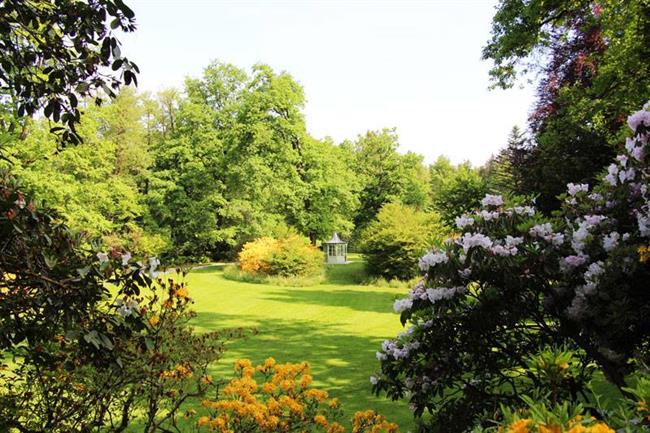 Vabljeni v Arboretum Volčji potok na Čarobno simfonijo. (foto: Facebook)