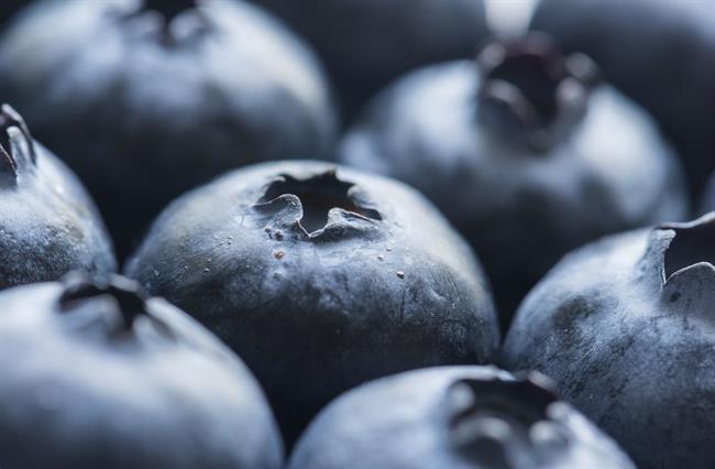 Borovnice so odlična pomoč pri hujšanju. (foto: pexels.com)