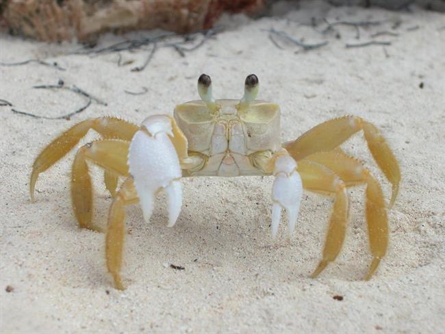Lepa misel za lepši dan. (foto: freeimages.com)