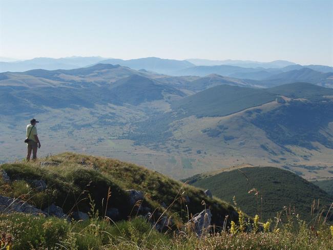 Lepa misel za lepši dan. (foto: freeimages.com)
