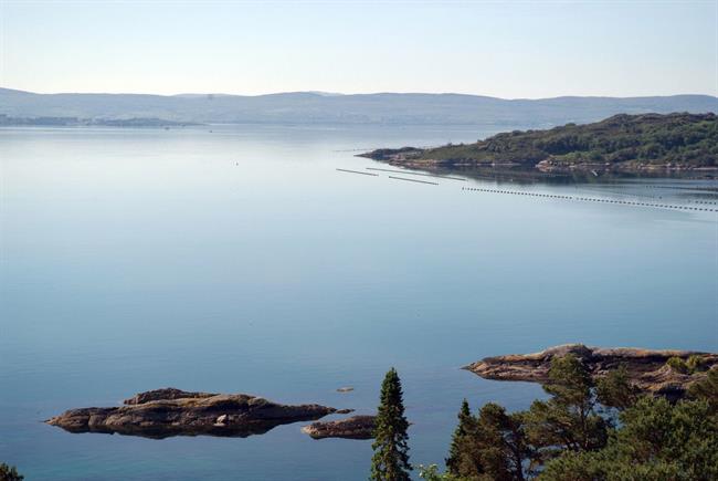 Lepa misel za lepši dan. (foto: freeimages.com)
