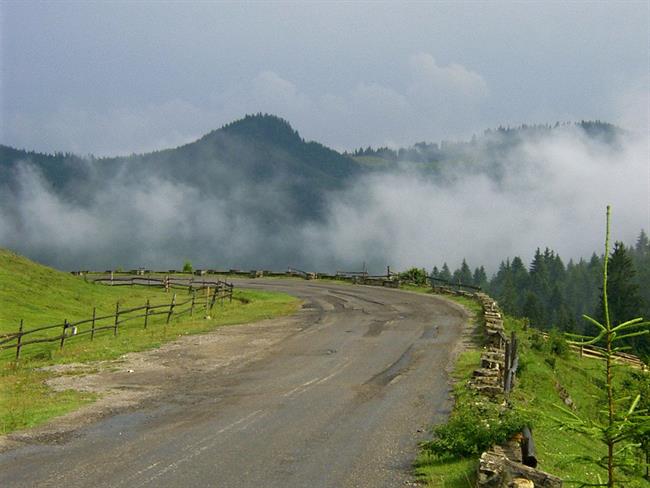 Lepa misel za lepši dan. (foto: freeimages.com)