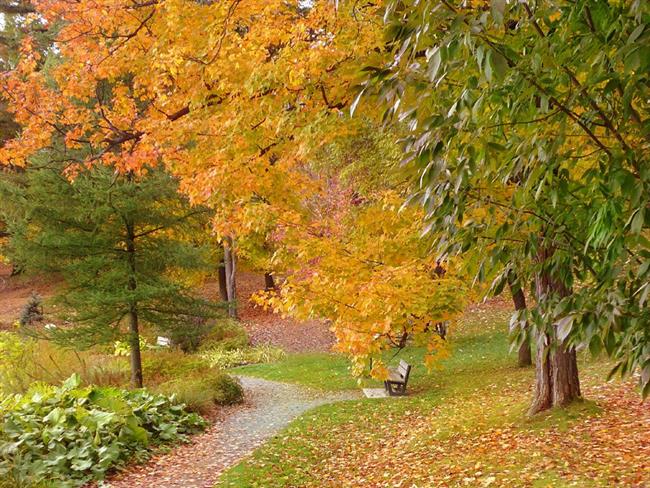 Lepa misel za lepši dan. (foto: freeimages.com)