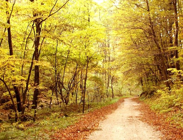 Lepa misel za lepši dan. (foto: freeimages.com)