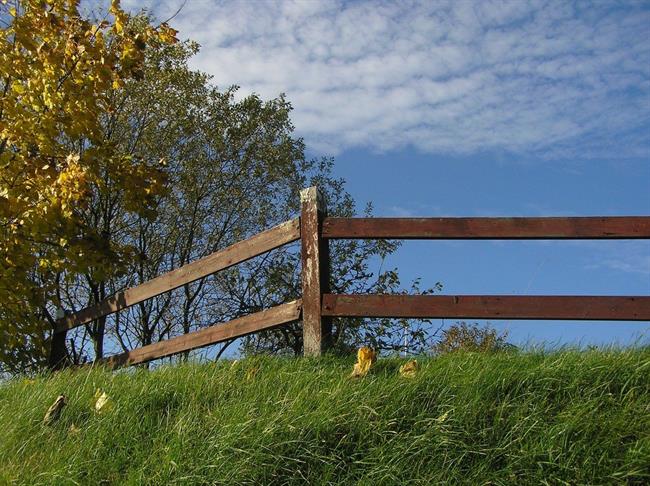 Lepa misel za lepši dan. (foto: freeimages.com)