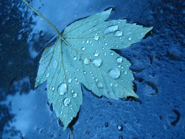 Lepa misel za lepši dan. (foto: freeimages.com)