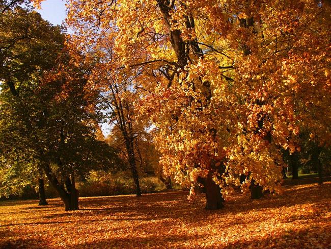 Lepa misel za lepši dan. (foto: freeimages.com)