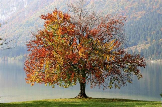 Lepa misel za lepši dan. (foto: freeimages.com)