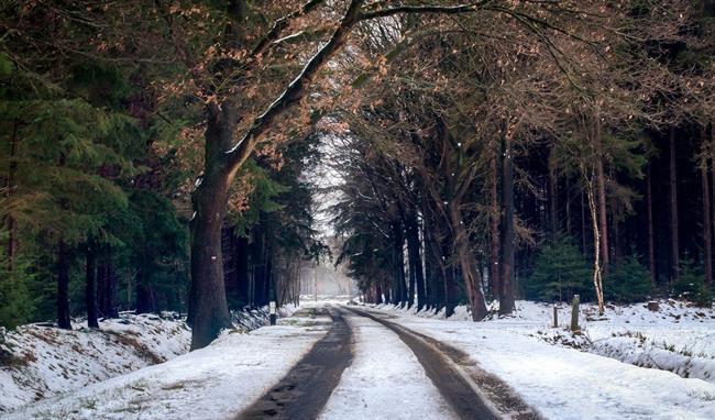 Danes bo večinoma oblačno. (foto: pexels.com)