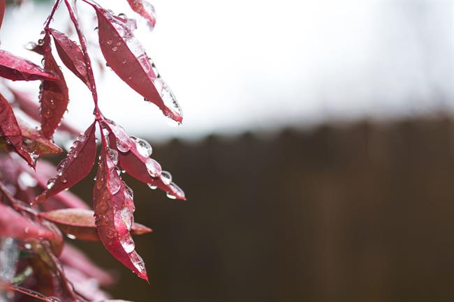 Danes bo oblačno in občasno deževno. (foto: pexels.com)
