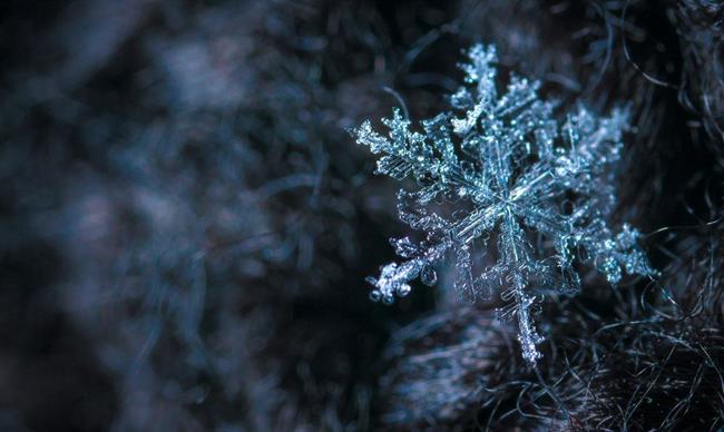 Danes bo pretežno oblačno, jutri oblačno z rahlimi padavinami. (foto: pexels.com)