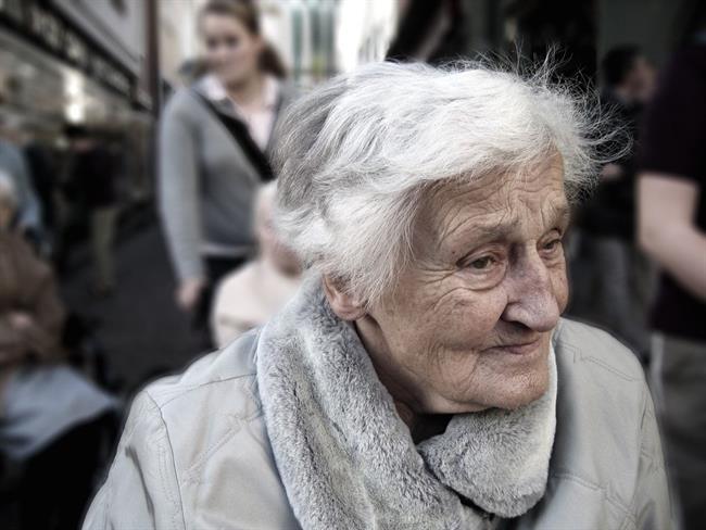 Vlada paket predlogov socialnih zakonov ne bo podprla. (foto: pexels.com)