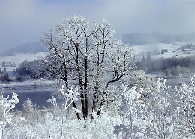 Lepa misel za lepši dan. (foto: freeimages.com)