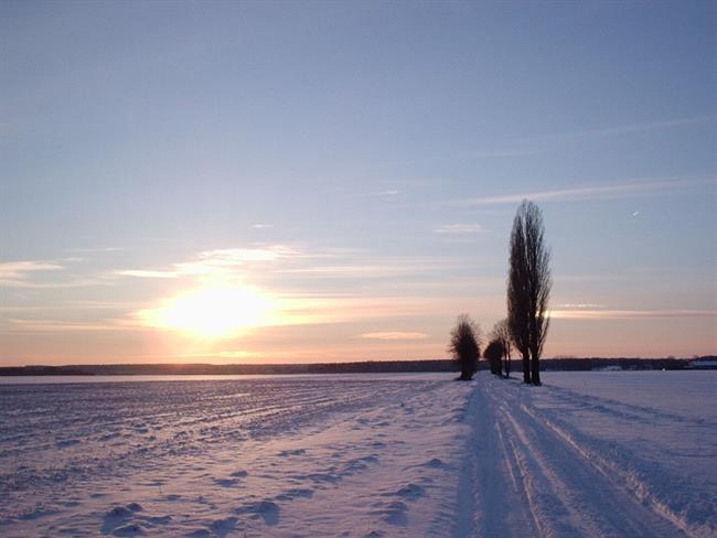 Lepa misel za lepši dan. (foto: freeimages.com)