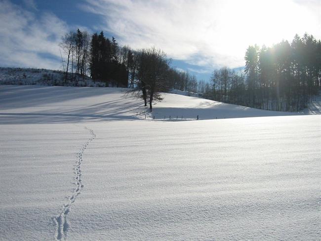 Lepa misel za lepši dan. (foto: freeimages.com)