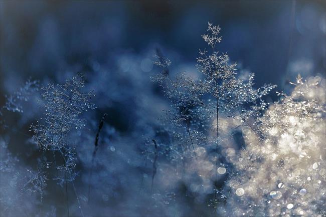 Danes bo dopoldne delno jasno, popoldne in jutri pa pretežno oblačno z rahlim sneženjem v vzhodni polovici Slovenije. (foto: pexels.com)