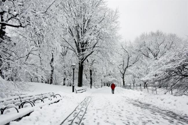 Danes bo spremenljivo oblačno, možna je kakšna snežna ploha. (foto: FreeDigitalPhotos.net)