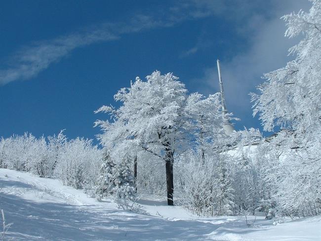 Lepa misel za lepši dan. (foto: freeimages.com)