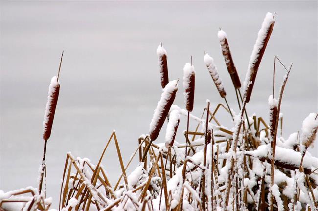 Lepa misel za lepši dan. (foto: freeimages.com)